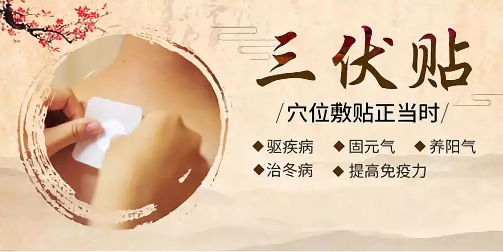 關于三伏貼，你了解多少呢？